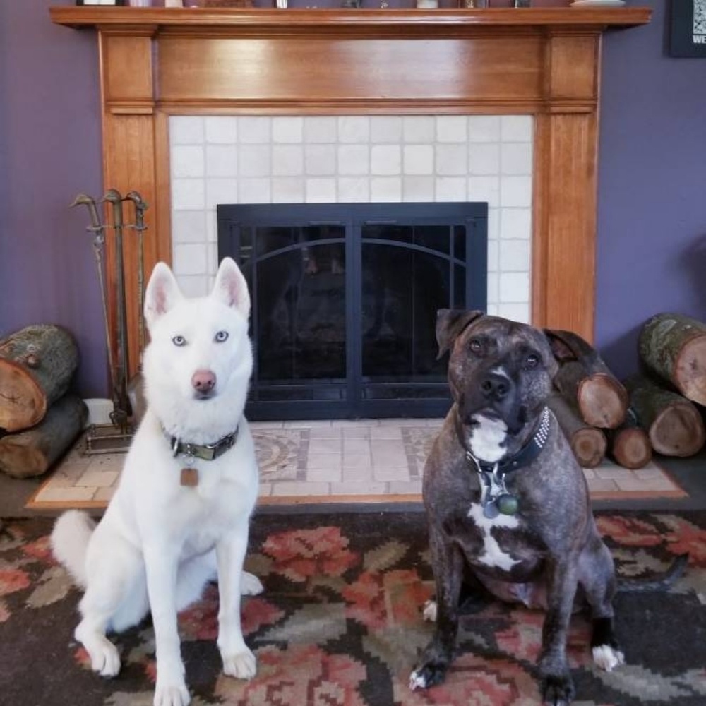 Meet your Posher, Love